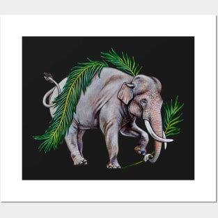 Asian Elephant with Palm Fronds Posters and Art